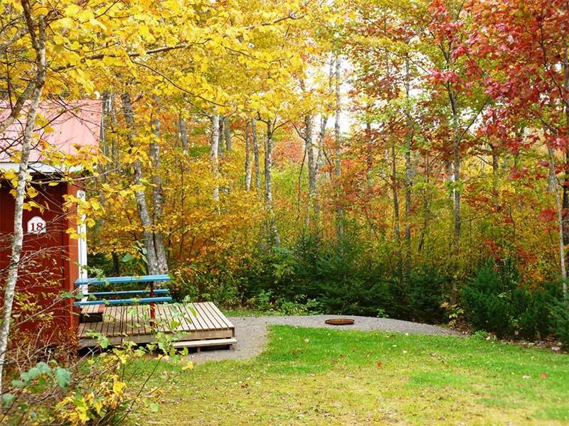 a park bench sitting in the middle of a garden at New Glasgow Highlands Campground cabins in New Glasgow