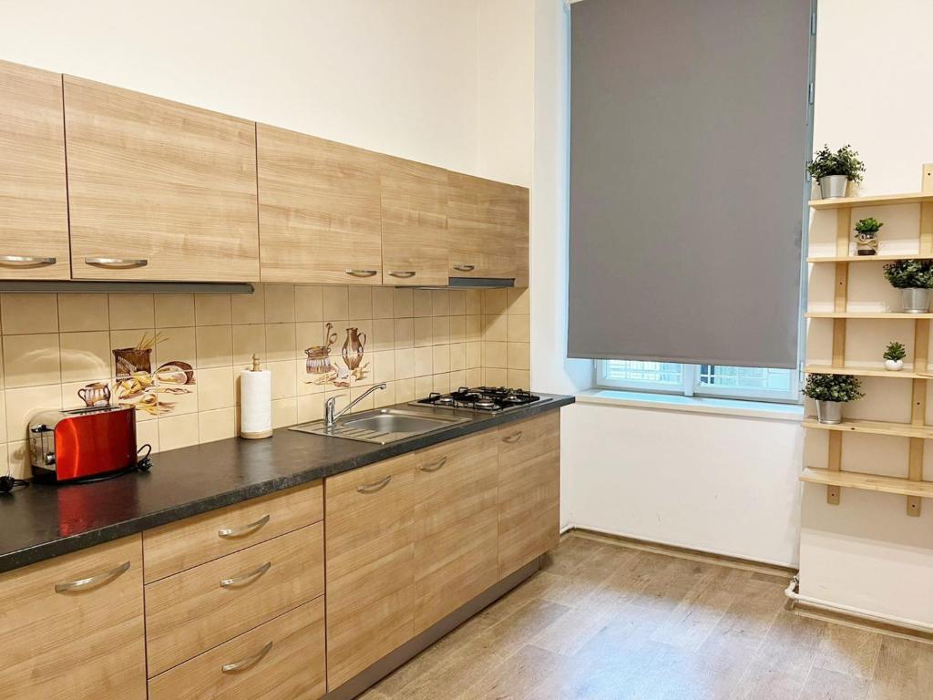a kitchen with wooden cabinets and a sink and a window at Modern Apartment Krakovska in Prague