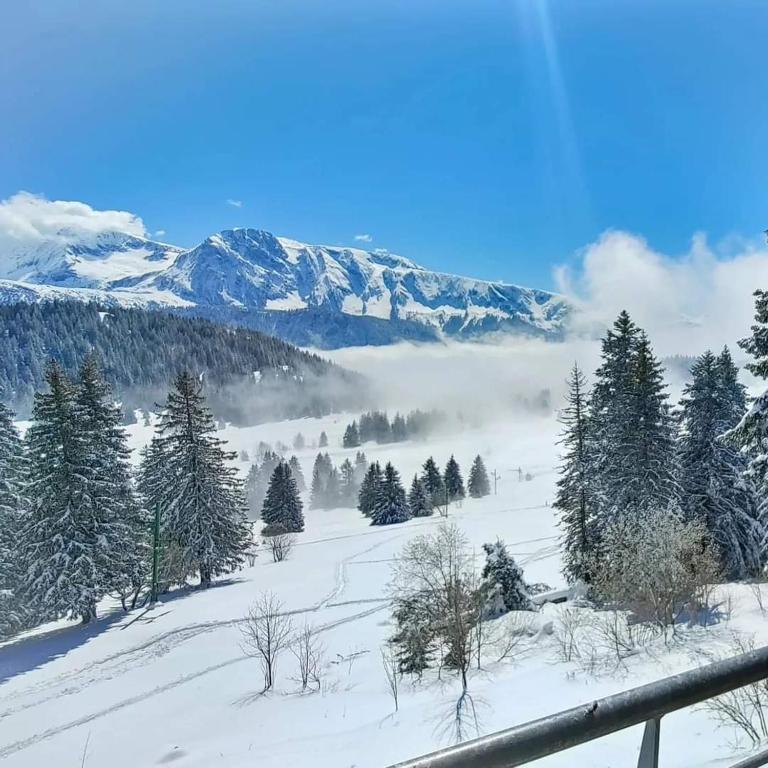 Foto de la galeria de Chamrousse 1700 - Silènes C32, appartement classé 3 étoiles, avec vue sur les montagnes - a Chamrousse