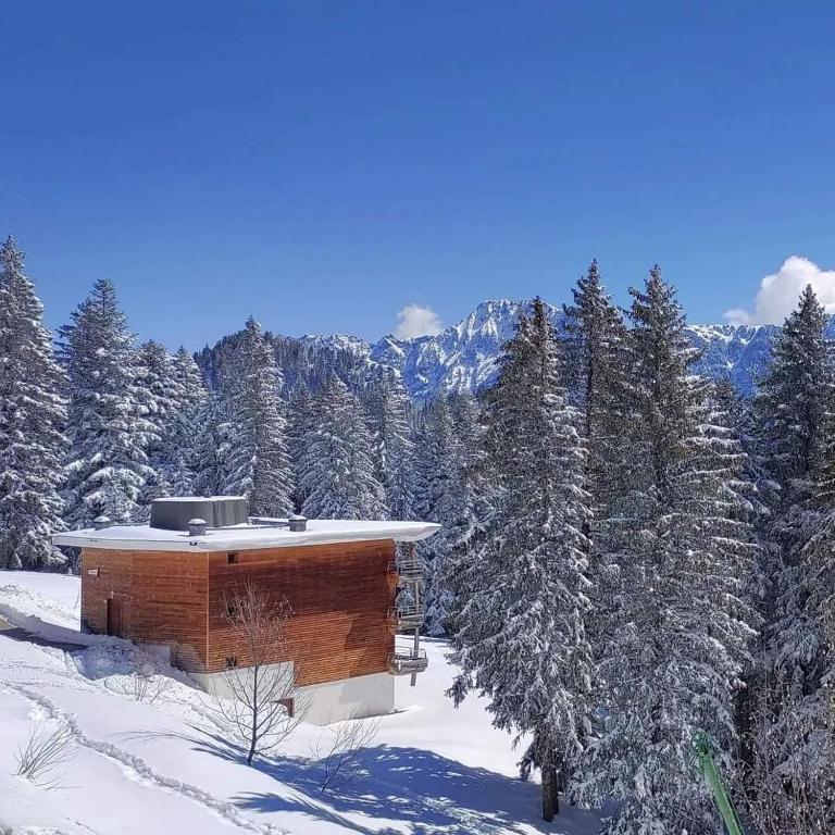 Foto de la galeria de Chamrousse 1700 - Silènes C32, appartement classé 3 étoiles, avec vue sur les montagnes - a Chamrousse