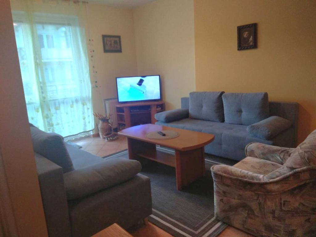 sala de estar con sofá y TV en Apartament Eugenia, en Krynica-Zdrój