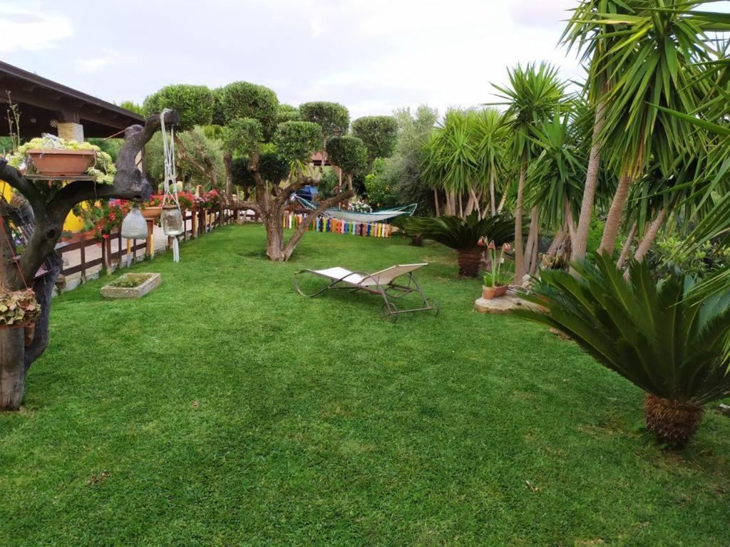 park z ławką, drzewami i basenem w obiekcie Chalet del girasole w mieście Castellabate