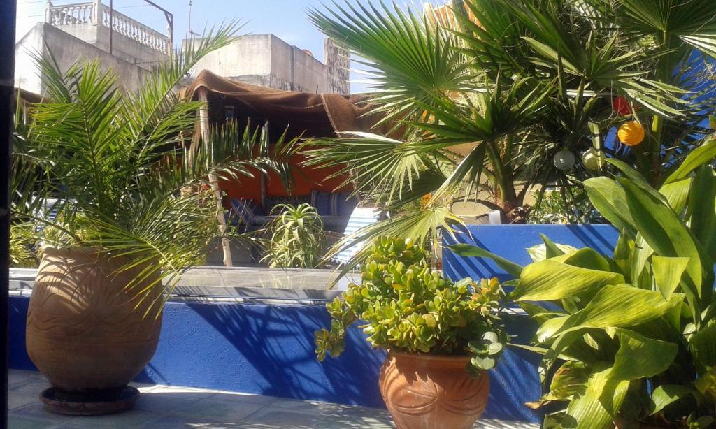 Un jardín fuera de Bayt Alice Hostel