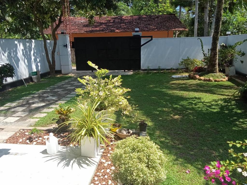 Fourcoock Villa في كوسغودا: ساحة بها بعض النباتات و السياج