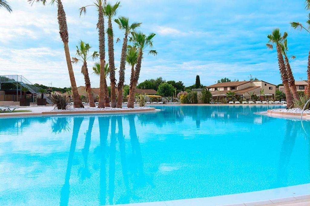 a large blue swimming pool with palm trees at Maison avec piscine chauffée de Pâques à la toussaint accès animation & parc aquatique en supplément de juin à fin septembre in Portiragnes