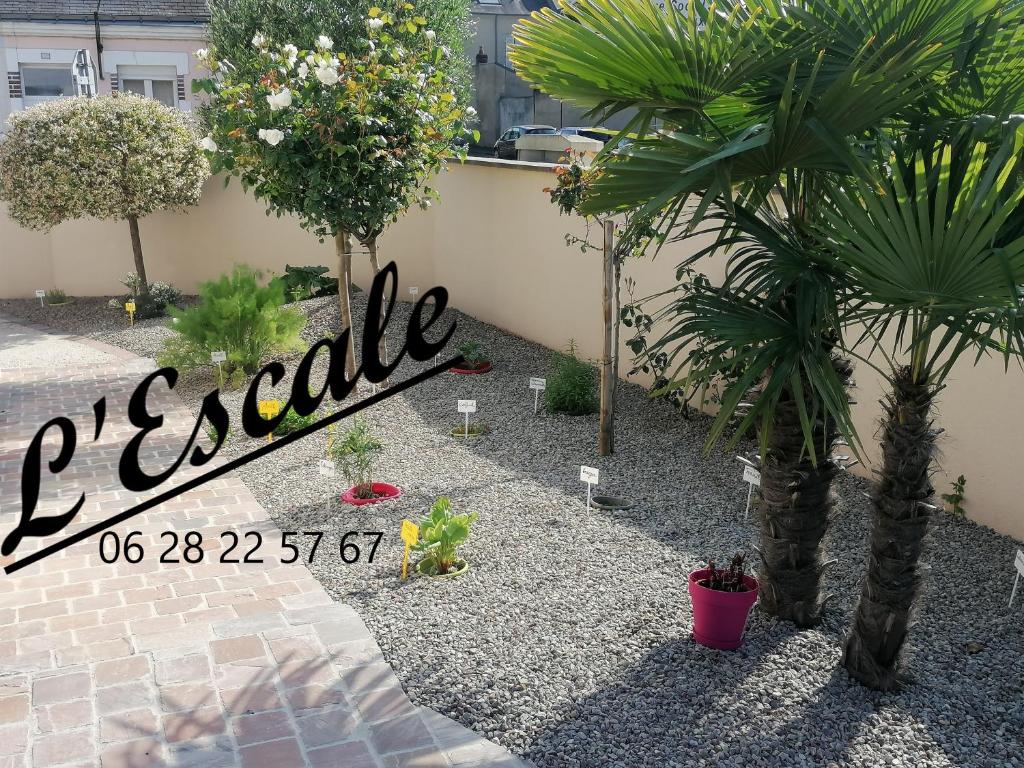 un jardin planté de palmiers et un panneau indiquant que dans l'établissement L'Escale, chambres chez l'habitant, au Mans