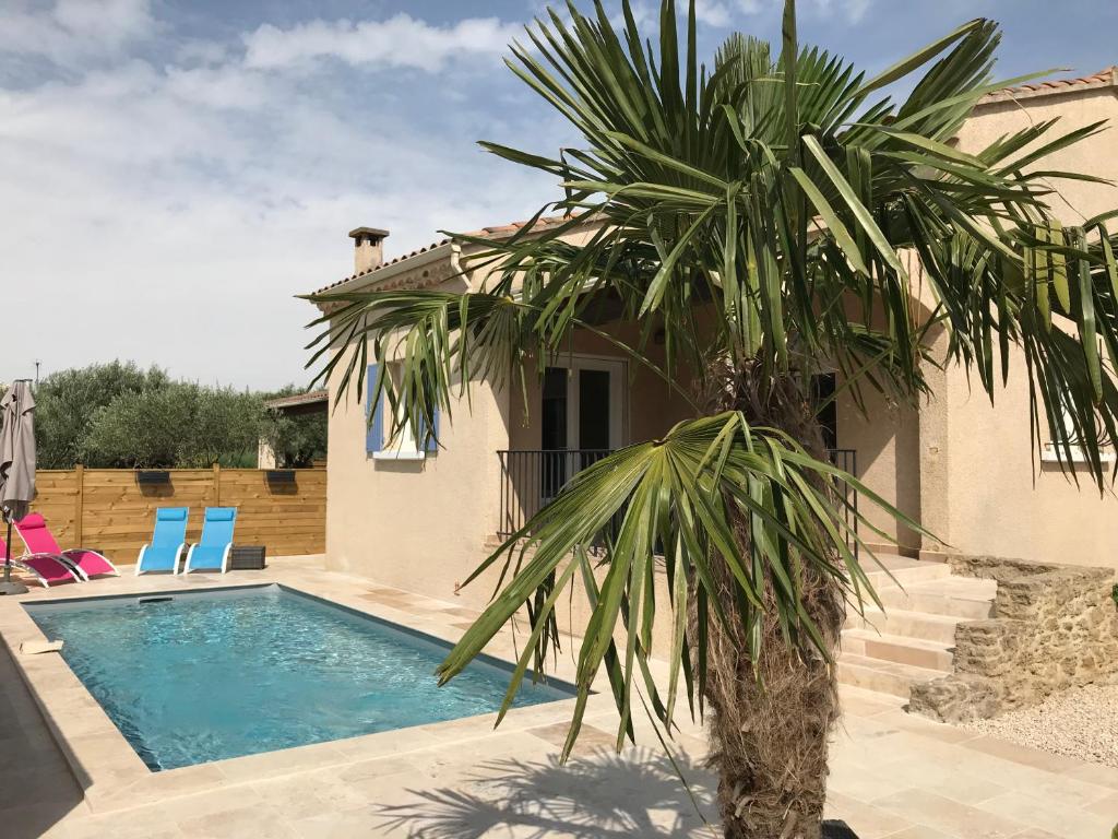 una palmera frente a una casa con piscina en Le clos de la cerise - Villa Gilbert, en Châteauneuf-du-Pape