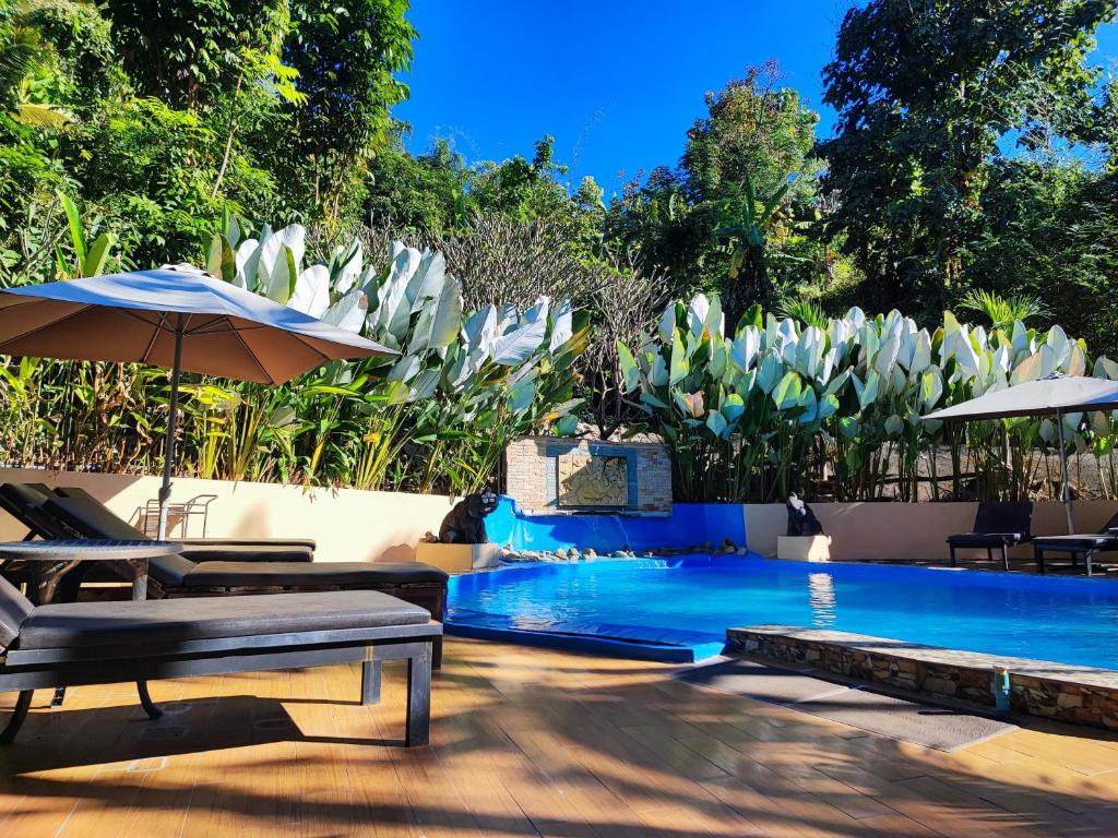 uma piscina com duas espreguiçadeiras e um guarda-sol em Chang Pai Garden em Pai