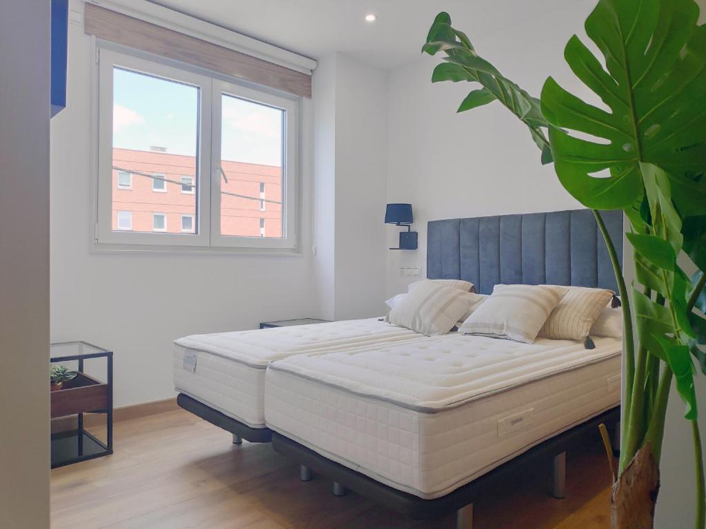 Apartamentos Rey by Como en Casa - 17