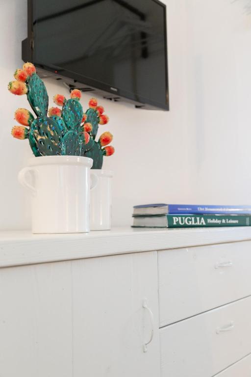 Dimora Graziana 1909 - 2