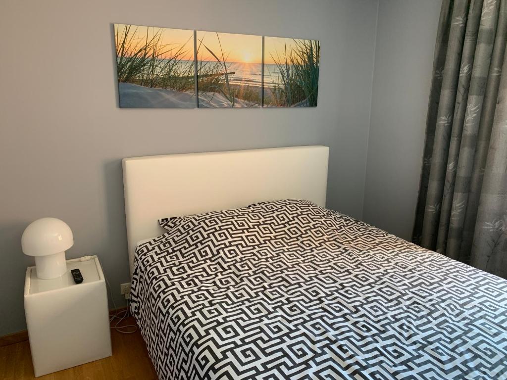 ein Schlafzimmer mit einem Bett und einem Bild an der Wand in der Unterkunft Privé-kamer centrum Oostende met eigen badkamer/wc in Ostende