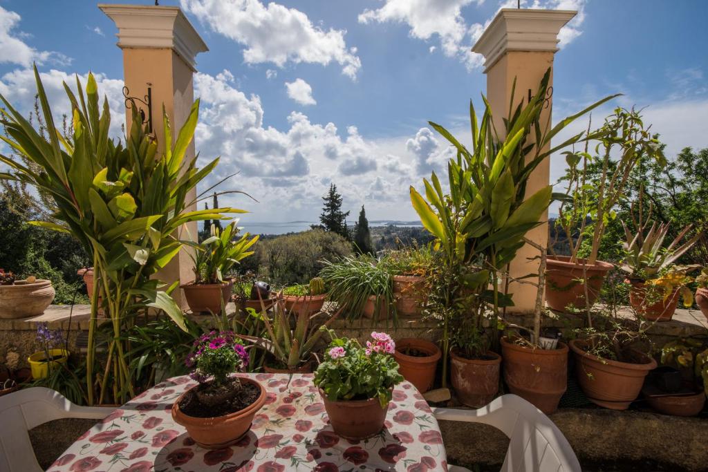 Zahrada ubytování Iokasti House Ipsos Corfu