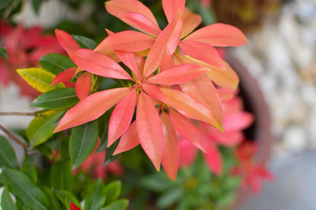 Pembridge Palace Hotel - Resim 28