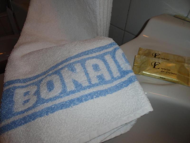 Hotel La Bonaigua, Vielha – Precios actualizados 2023