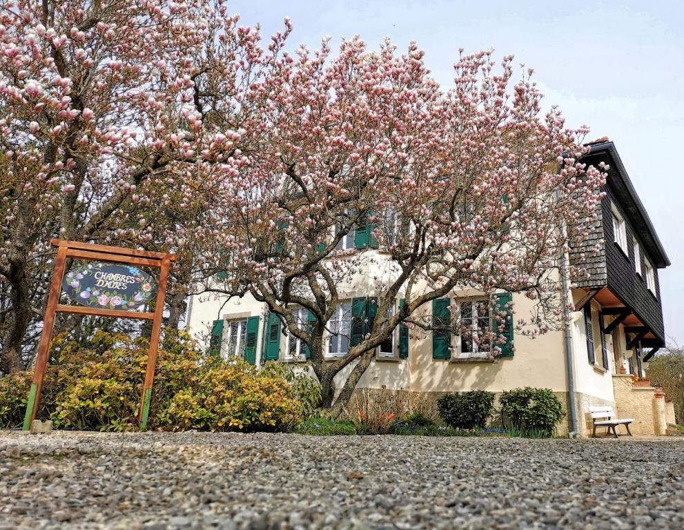 un árbol frente a una casa con flores rosas en La Tirelire, en Cosswiller