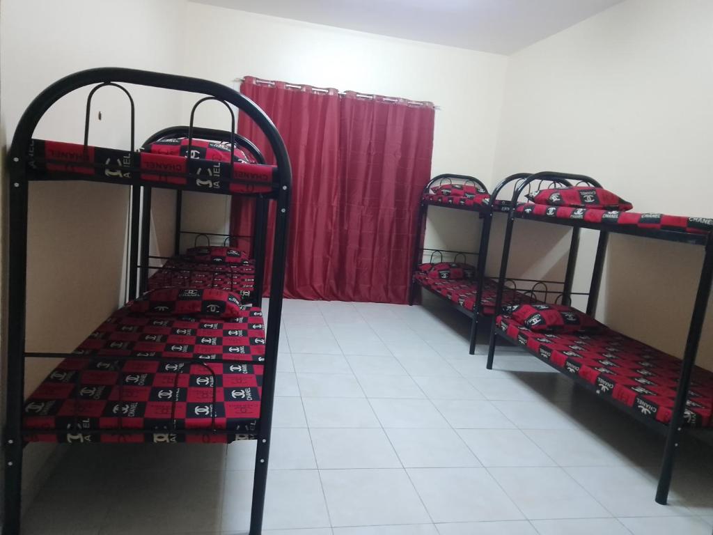 A bunk bed or bunk beds in a room at Abree building New Hostel