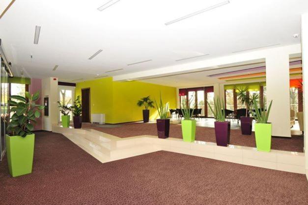 Fotografia z galérie ubytovania Hotel Európa Gunaras v destinácii Dombóvár