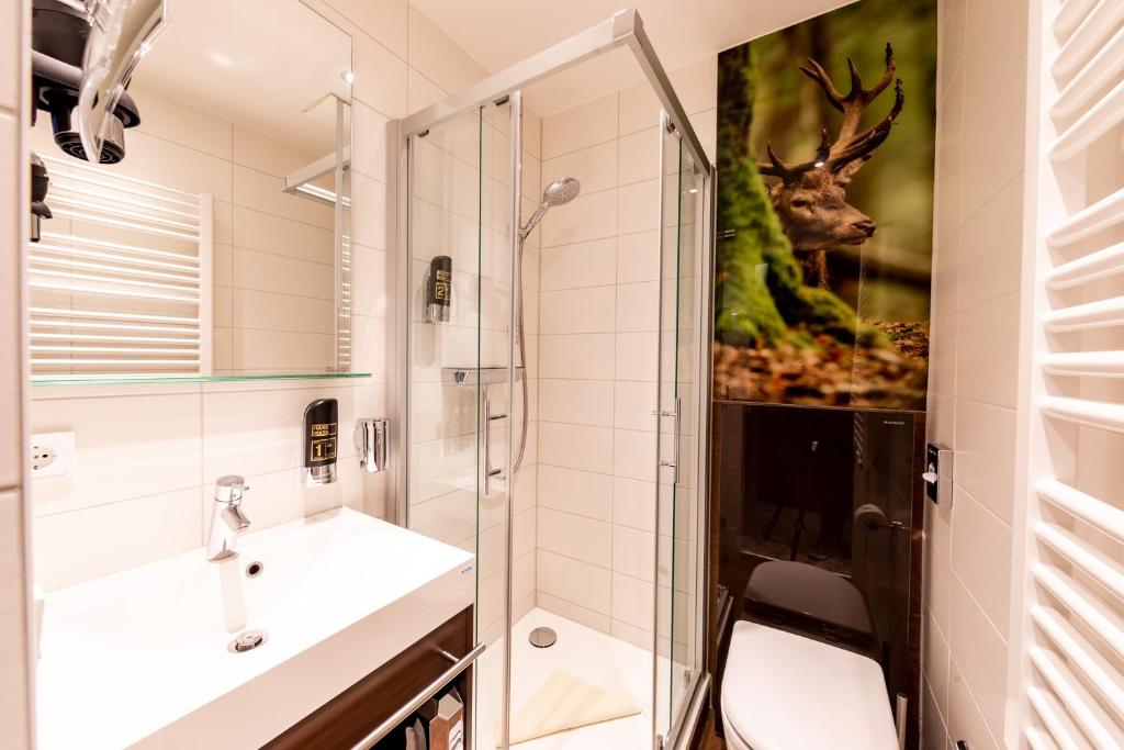 Ringhotel Jägerhof - Classic Double Or Twin Room