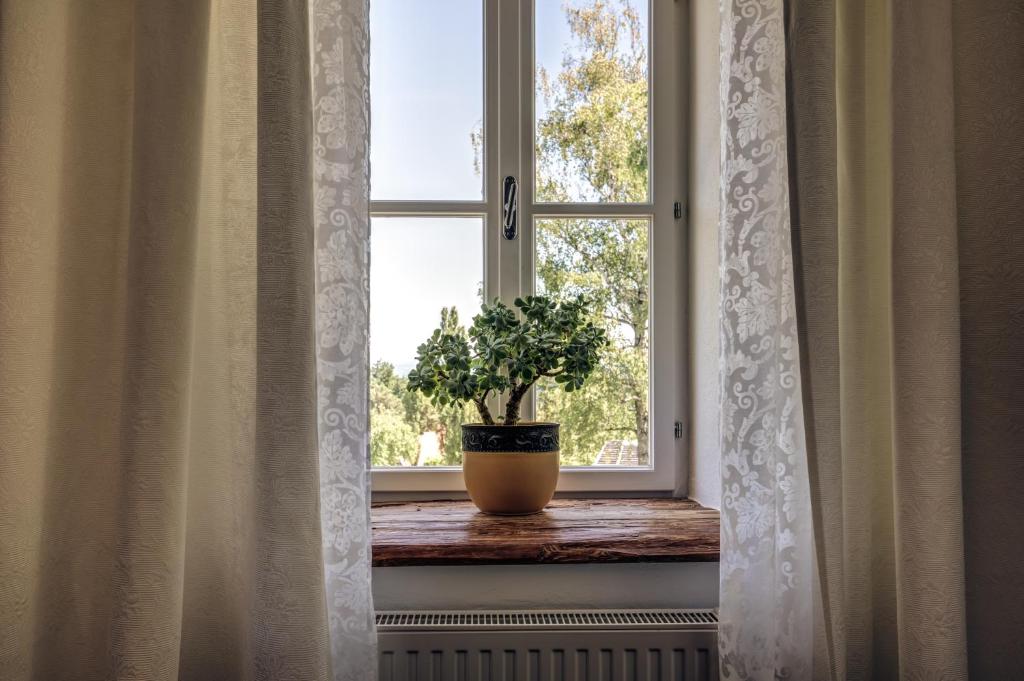 Fotografie z fotogalerie ubytování Winzarei, Weingut Tement v destinaci Berghausen