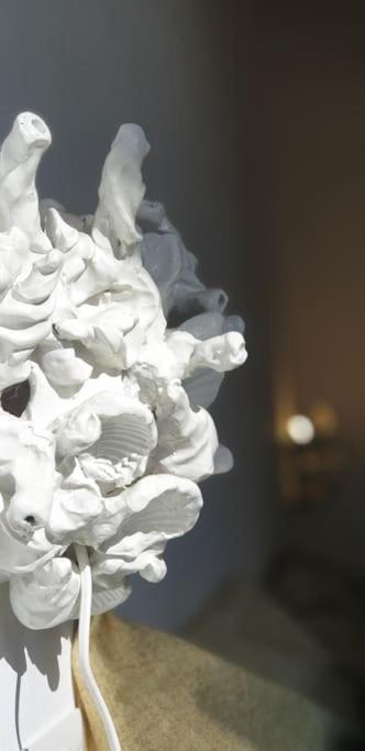 a close up of a white flower in a vase at RgB_Apartments in Lampedusa