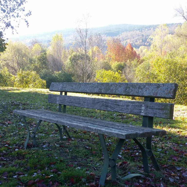 Příroda nedaleko apartmánu