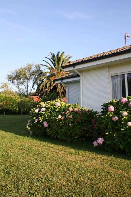 A garden outside Perfect Chalet for Beach Lovers and Golfers