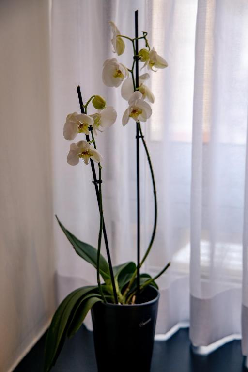 Triple A - Prime Location - Between Monastiraki & Syntagma Square-FREE Parking! - Resim 26