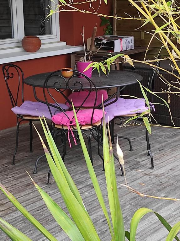 ペサックにあるMaison indépendante 30m2 jardin séjour tout inclusのパティオ(黒いテーブル、ピンクのクッション付きの椅子付)