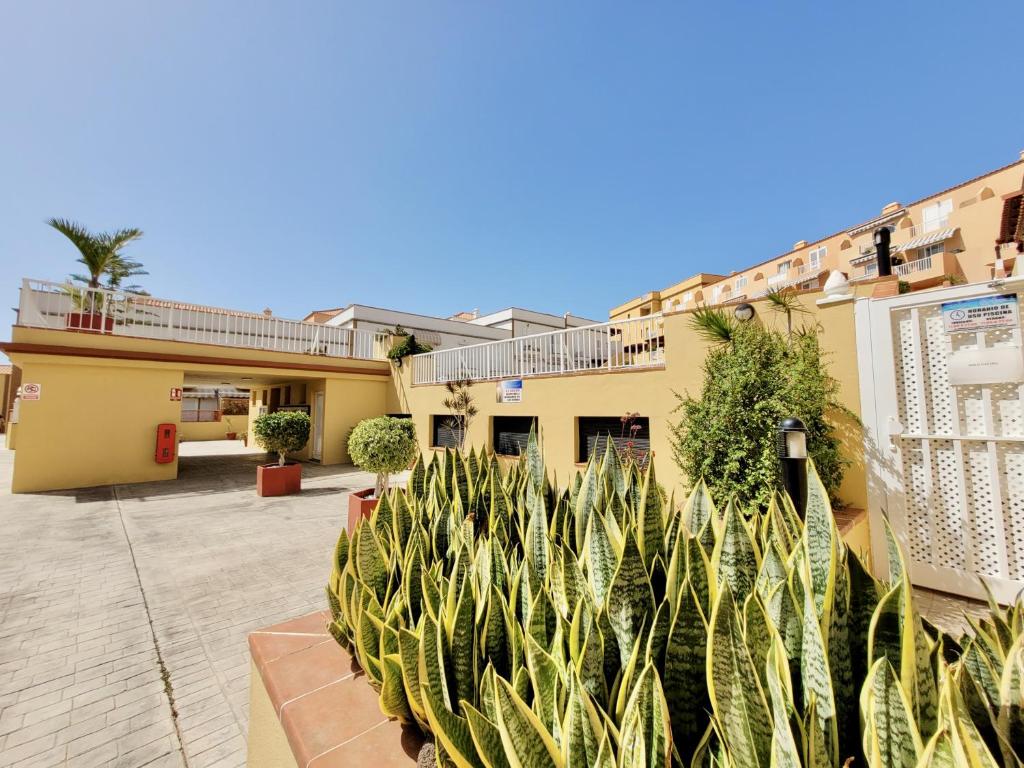 Kép Playa Arena Apartment szállásáról Arayában a galériában