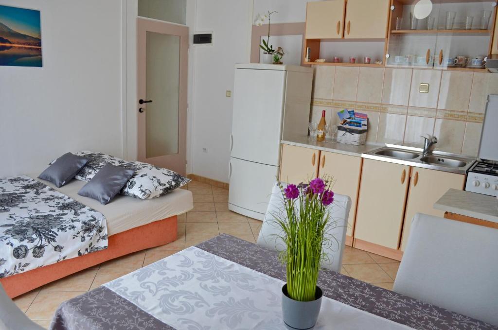 Kuchyň nebo kuchyňský kout v ubytování Apartments Davorka