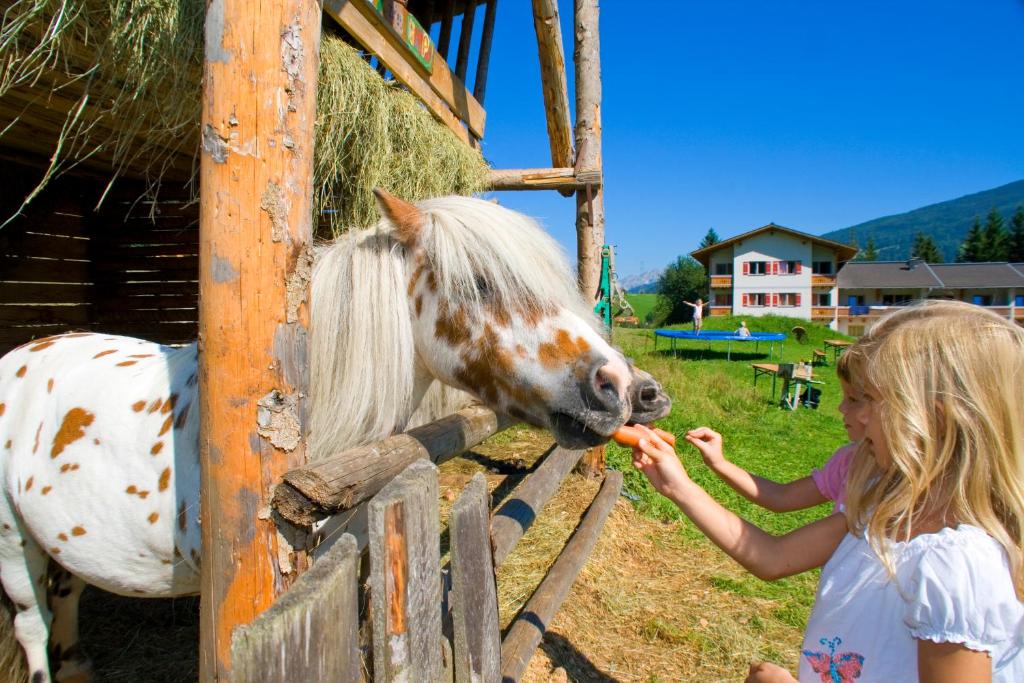 Zvířata v apartmánu nebo okolí