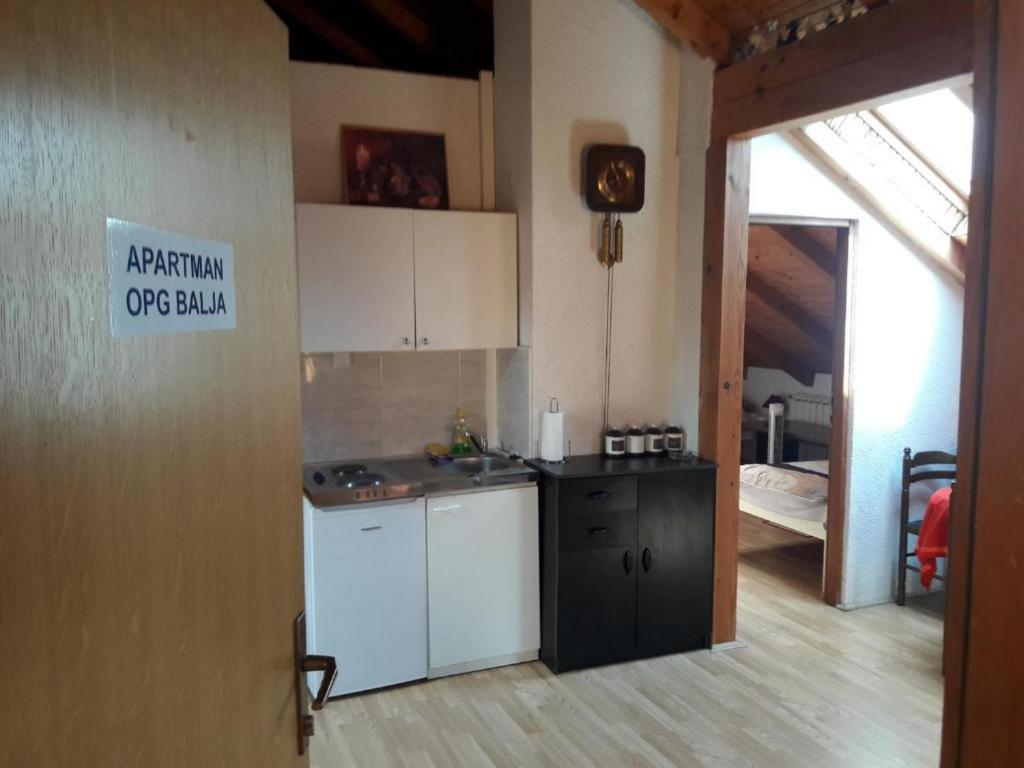 Kuchyňa alebo kuchynka v ubytovaní Apartman OPG Balja