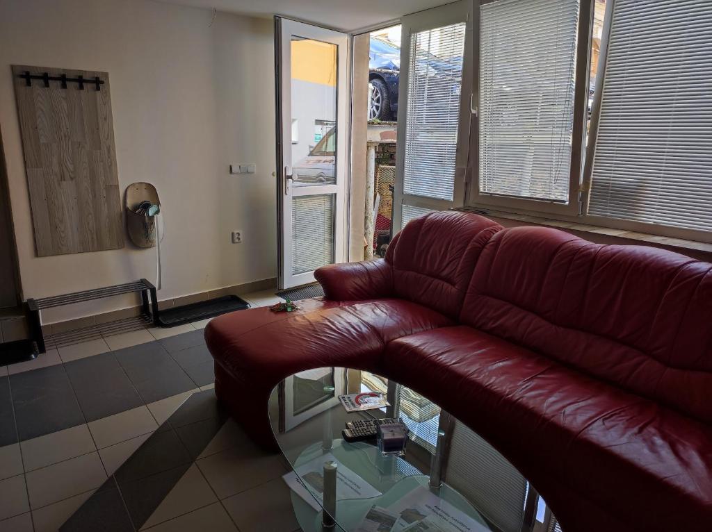 Apartmány HAVLÍČKOVA s parkováním zdarma - Apartment