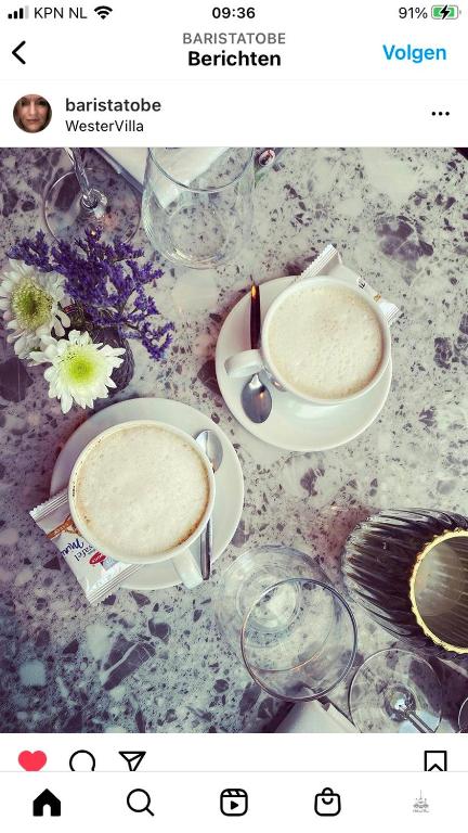 WesterVilla - Resim 32