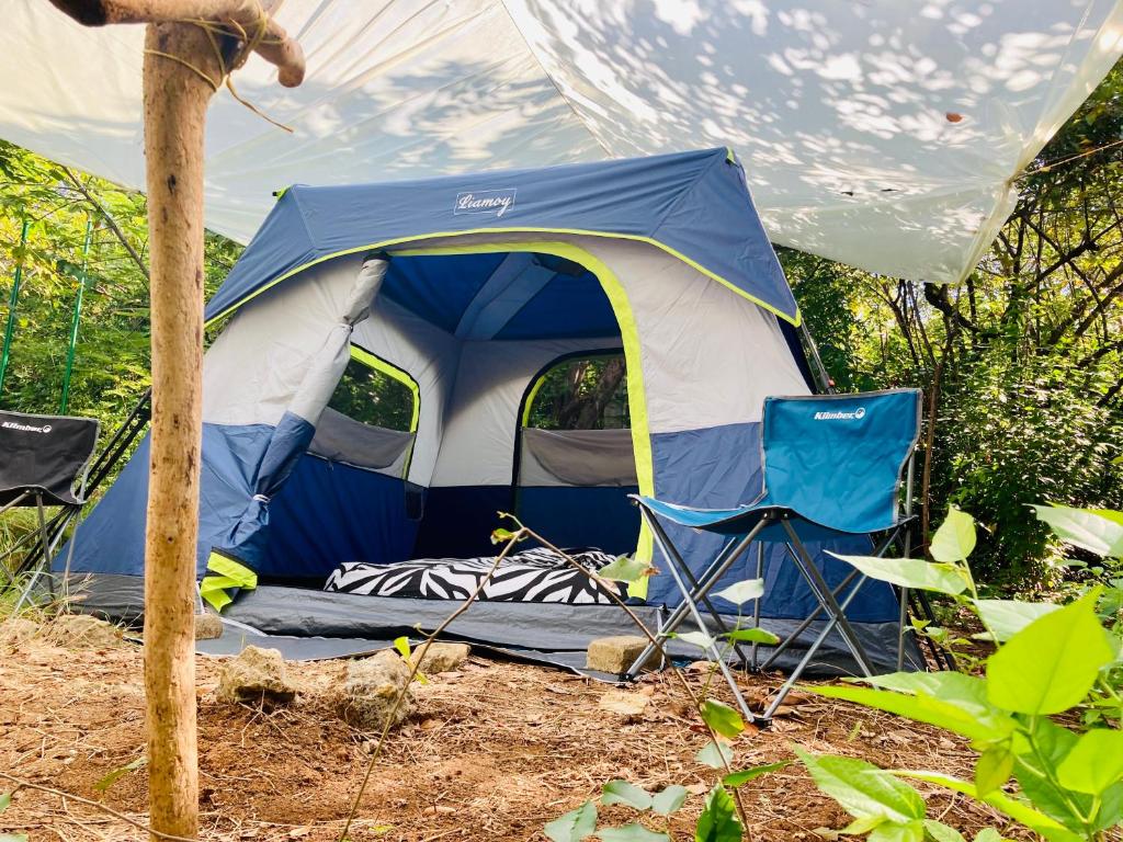 una tenda blu e bianca con due sedie davanti di Irie Town a San Andrés