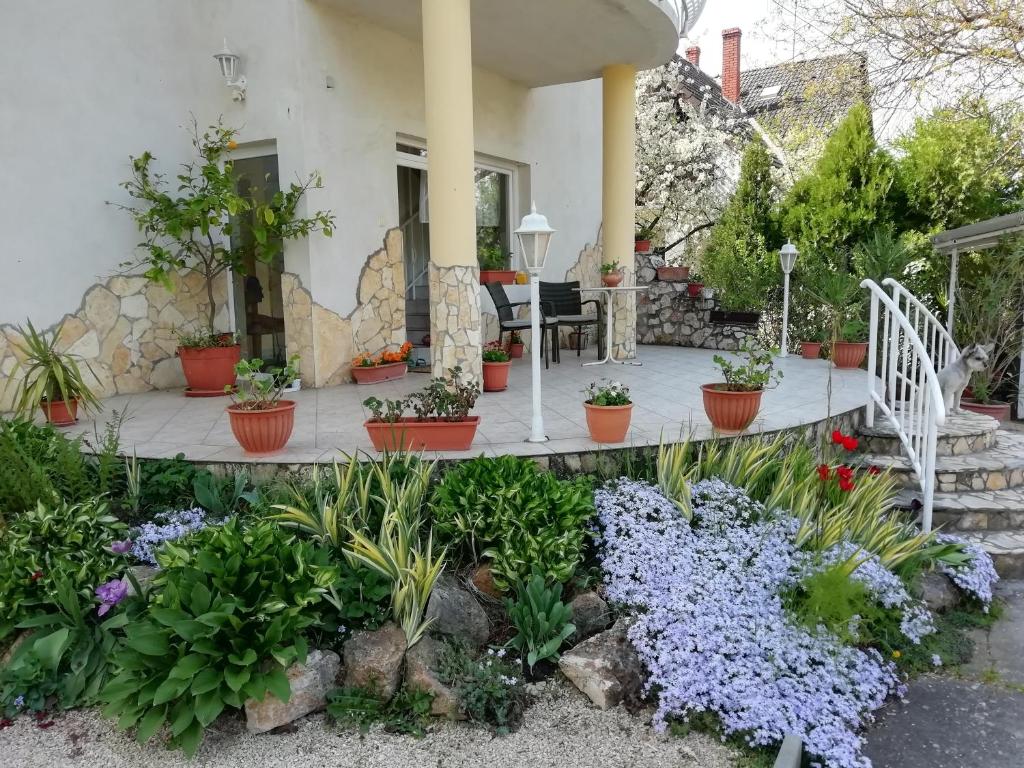 Szilvia apartman في هاركاني: شرفة مع الزهور والنباتات أمام المنزل