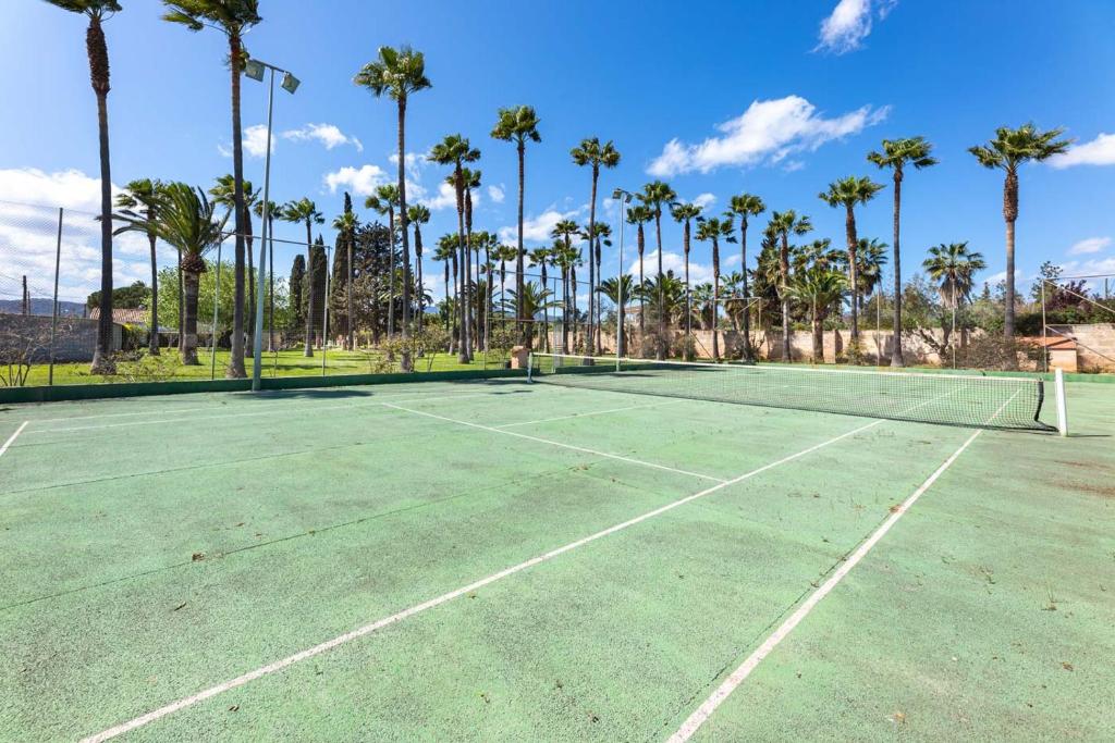 Tenis a/nebo squash v ubytování Es Moli dels Reis nebo okolí