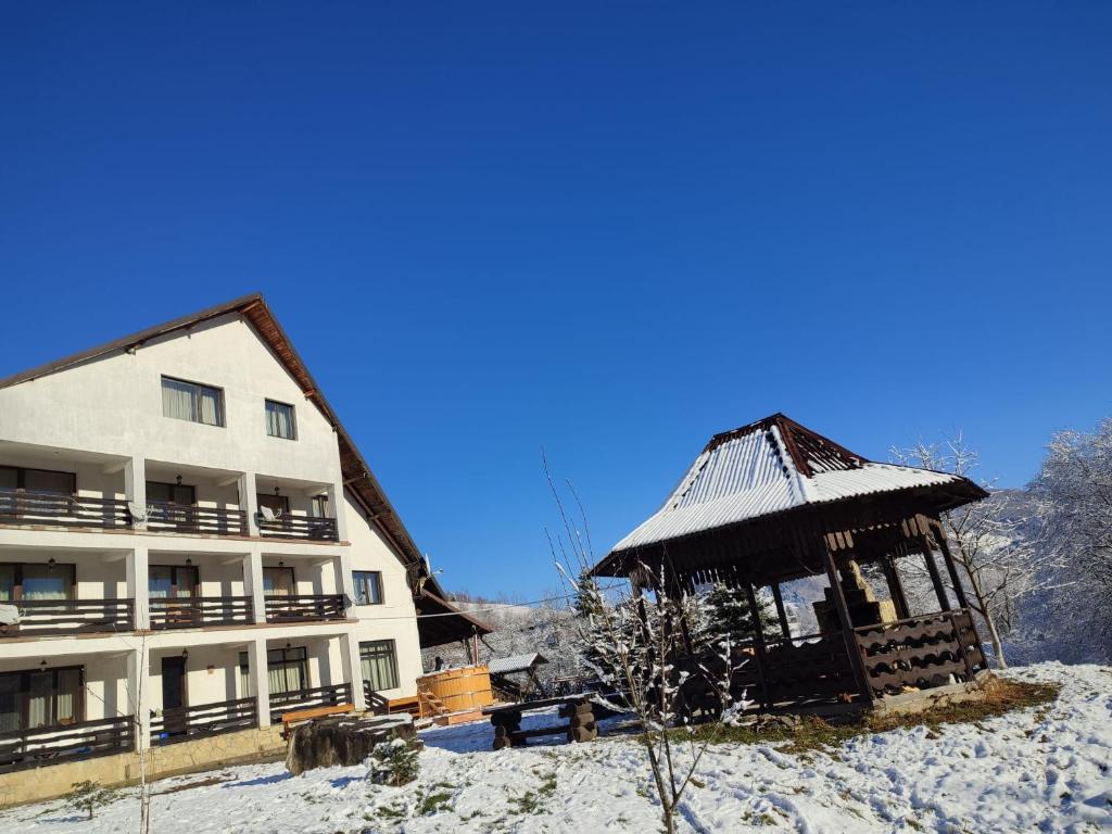 Bucovina Montană