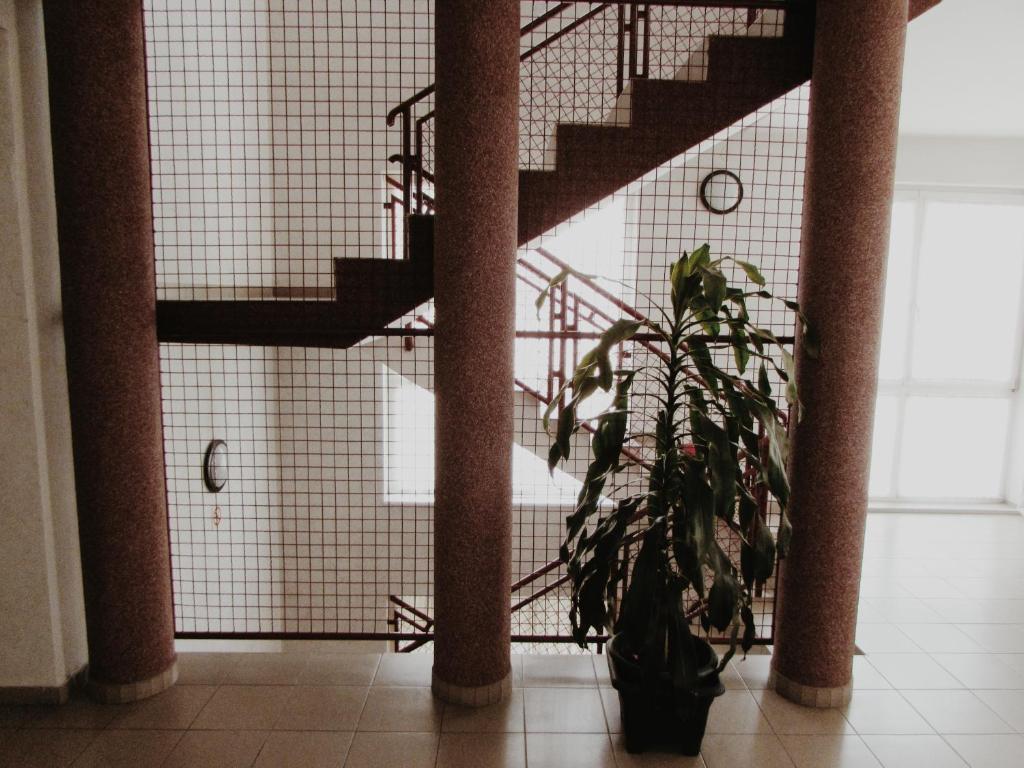 Fotografie z fotogalerie ubytování Panama Motel v destinaci Székesfehérvár