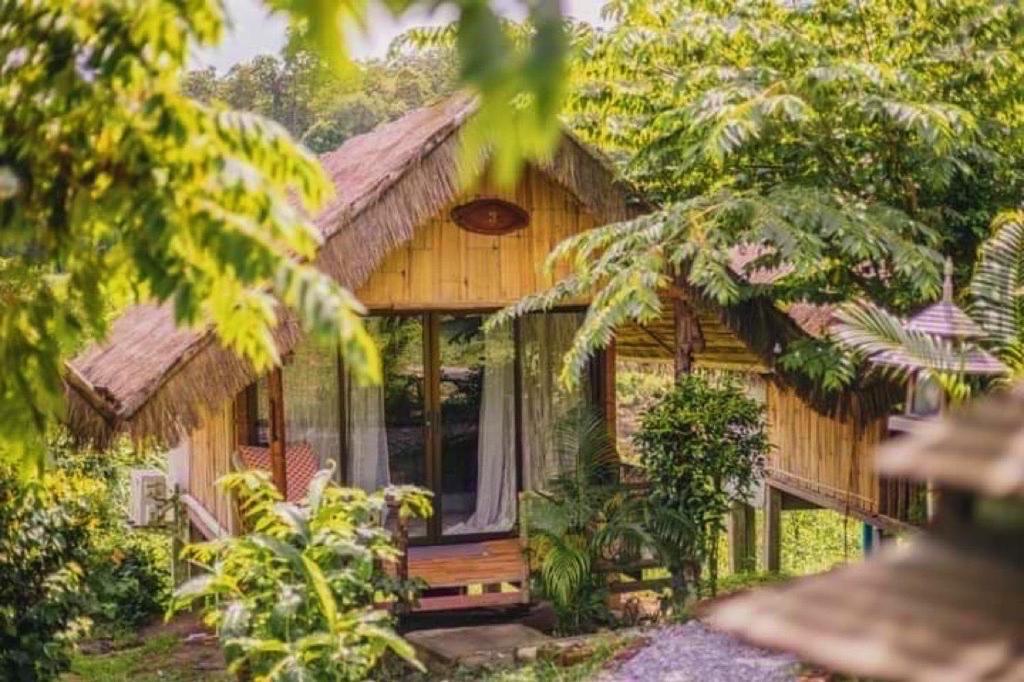 Κήπος έξω από το 3 Pok Maewang jinxiang Gold elephant park