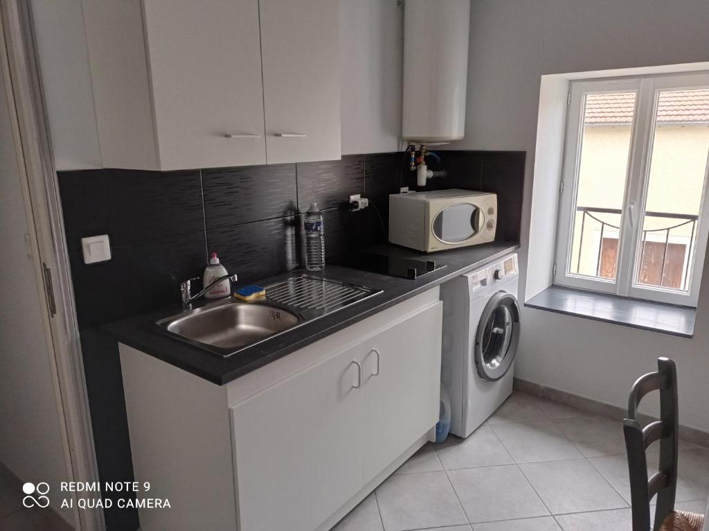 uma pequena cozinha com um lavatório e um micro-ondas em Auberge du pèlerin em Saint-Vincent