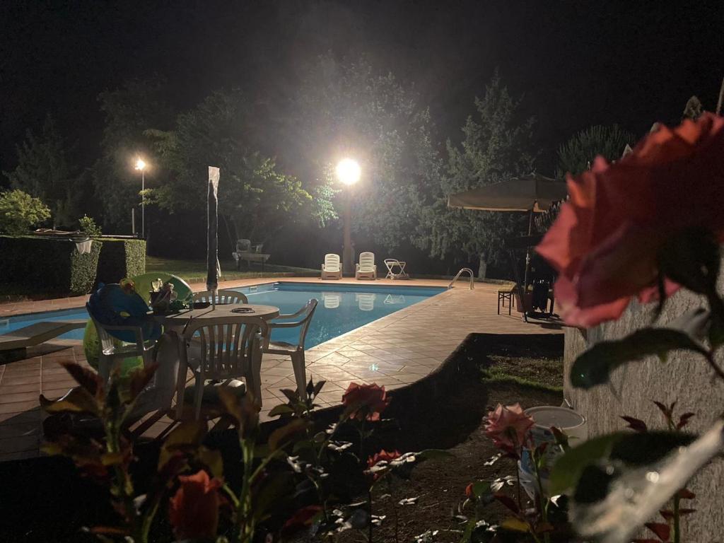 The swimming pool at or close to Masseria Le Zavattole