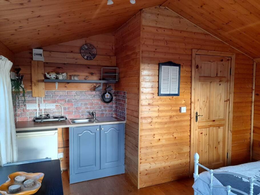 Kuchyň nebo kuchyňský kout v ubytování Delightful Studio Log Cabin , with Sauna