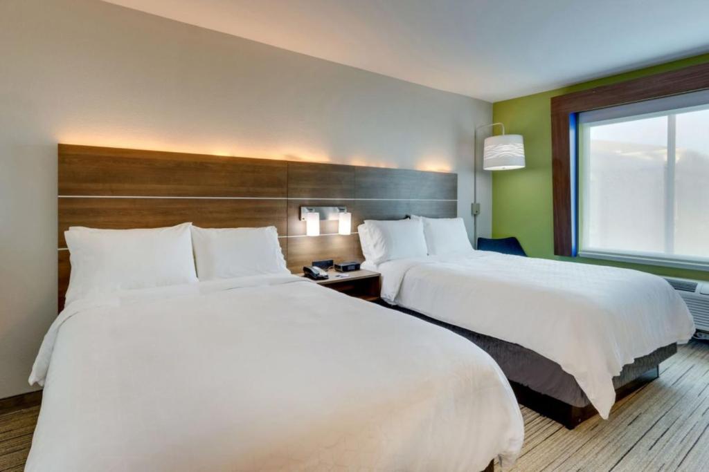 Holiday Inn Express Hotel & Suites Mankato East by IHG - Camera Standard Con Due Letti Queen Size