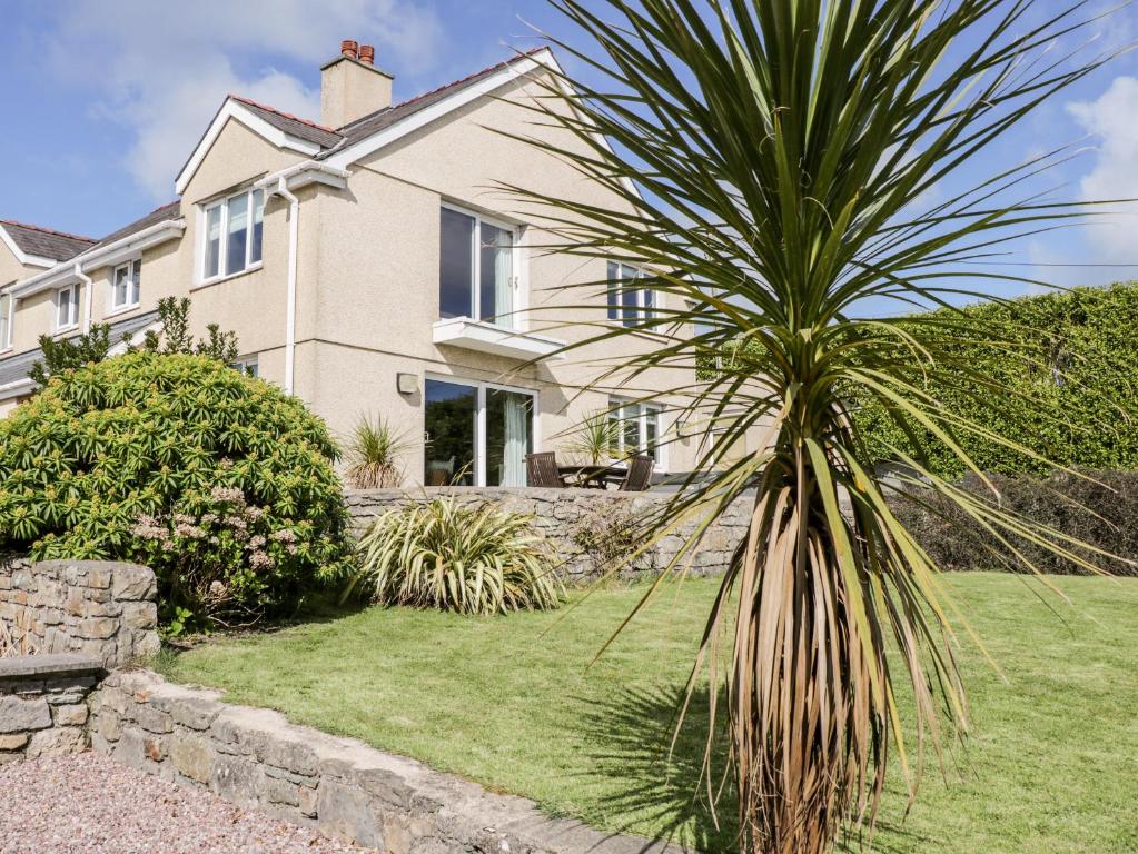 a palm tree in front of a house at Bryn y Don in Benllech