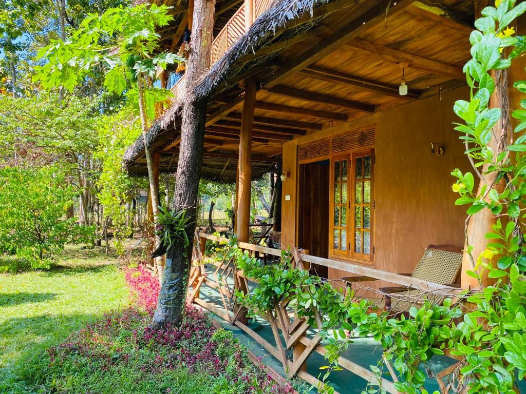 Zahrada ubytování Sigiri Lion Eco Palace