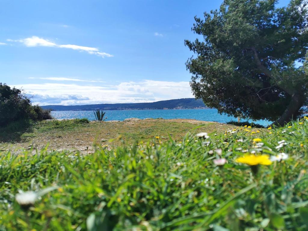 Fotografia z galérie ubytovania Studio apartman Gili v destinácii Kaštela