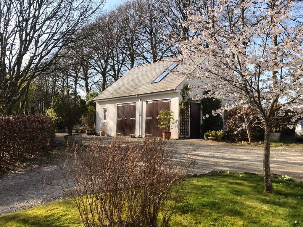 a house with a flowering tree in front of it at The Studio Loft in Tavistock