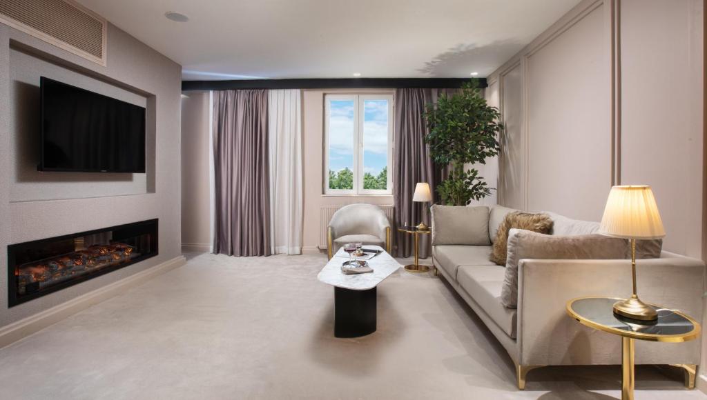 a living room with a couch and a fireplace at Walton Gardens Pera in Istanbul