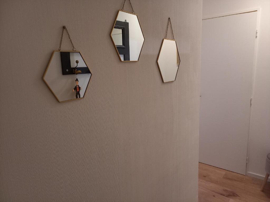LE PASSAGE gîte cocooning à Colmar centre touristique – photo 18